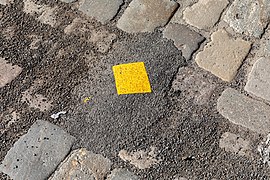 Münster, Promenade, Asphaltkleckse -- 2021 -- 7337.jpg