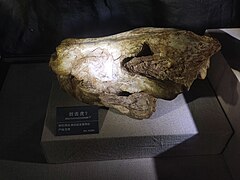 Anhui Geological Museum 20240811 152210.jpg