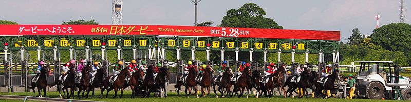 File:Gate open - Japanese Derby 2017 (34179087403).jpg