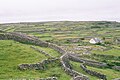 Les Islles Aran, condáu de Galway