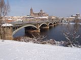 Le pont Enrique Estevan enjambant le Tormes à Salamanque.