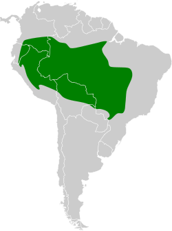 Distribución geográfica del titirijí frentirrojo.