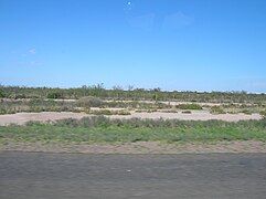 Salinas Grandes Córdoba.JPG