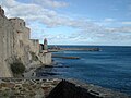 L'un de mes endroits préférés : l'anse de Collioure un jour d'avril