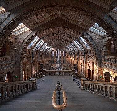 Central hall of the Natural History Museum London, evening light coming through the windows.