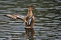 Female stretching after bathing in Kolkata.