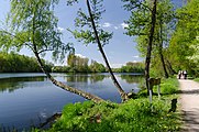 Borner See im Naturpark Schwalm-Nette