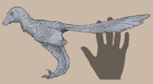 Life restoration of Caihong juji, with colors