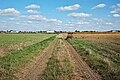 * Nomination View on A25 motorway from Ruelle Mars, in La Chapelle d'Armentières, France --Velvet 05:54, 8 October 2024 (UTC) * Promotion  Support Good quality. --Vsatinet 21:16, 14 October 2024 (UTC)