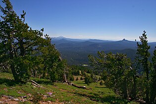 Trees, Crater Lake National Park