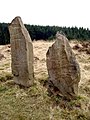 Laggangairn Standing Stones