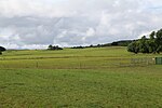 Thumbnail for File:Pasture in NP Vorpommersche Boddenlandschaft north of Hiddensee 2021-09-17 07.jpg