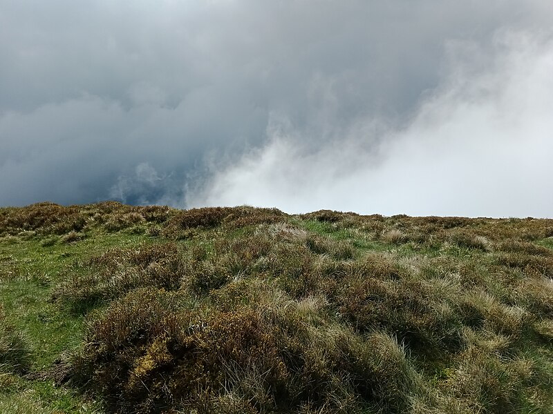 File:Rainkopf sommet 03.jpg