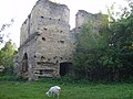 Ruins of the Czartoryski Castle