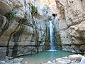 Ein Gedi