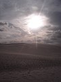 Lençóis maranhenses