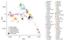 PCA using only European samples based on the nuclear genome-wide data obtained on three ancient Egyptian samples.[3]