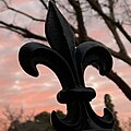 Cast iron fleur delis on campus gate.