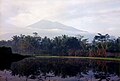 Planina Merbabu