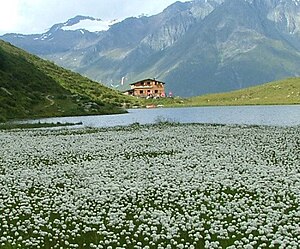 Bergerseehütte