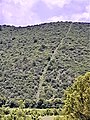 Carril o brecha desmontada sobre el cerro hecha con tequio por las comunidades de San Juan Achiutla y San Miguel Achiutla para señalar los límites de ambos municipios. Oaxaca, México, 2020.