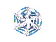 1zgk: 1.35 angstrom structure of the Kelch domain of Keap1