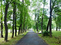 Le boulevard Levachovski.