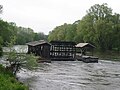 near Veržej in Slovenia