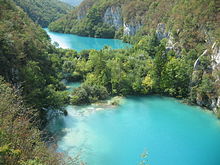 Two greenish-blue lakes in a forest