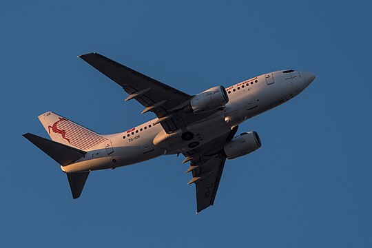 Tunisair Boeing 737-6H3 (reg. TS-IOR, msn 29502/816) at Munich Airport (IATA: MUC; ICAO: EDDM) departing 08R.