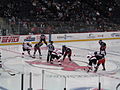 Spiel der AHL im Januar 2013 zwischen Albany Devils und den Springfield Falcons