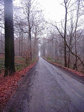 Image illustrative de l’article Bois de la Houssière