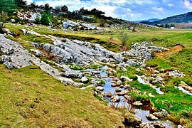 Plateau de Caussols.