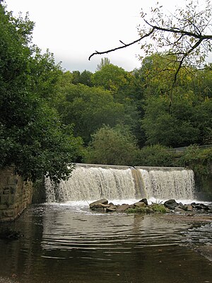 Wide flowing weir with trees visible in the back