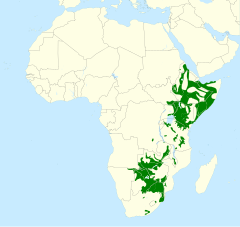 Mapa występowania