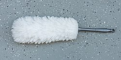 Feather duster asv2021-03.jpg