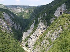 Zgornji tok Ibra v Črni gori