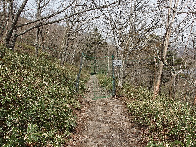 File:Kakumanbuchi Marsh @ Mount Akagi area (14018390348).jpg