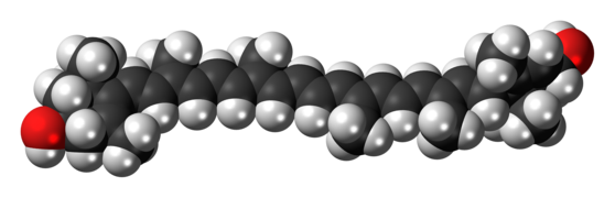 Lutein molecule spacefill.png