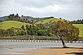 Whananaki Bridge, Northland, New Zealand