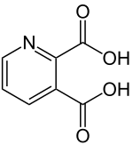 Structuurformule van chinolinezuur