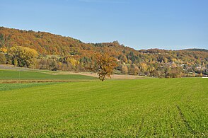 Blick auf Bürglischloss aus Dörflingen