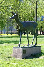 Rådjur, Kungsparken, stadsdelen Lorensberg, Göteborg.