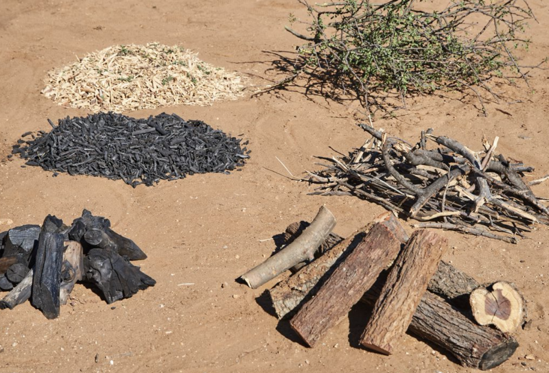 File:Bush Biomass.png