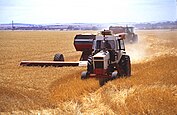 Een combine getrokken door een wit rode tractor.