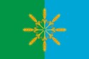 Flag of Novozybkovsky District