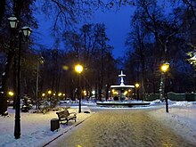 Kyiv-Miskyi park-evening in November.jpg