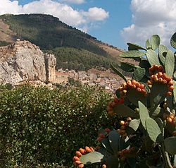 Skyline of Roccapalumba