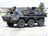 TPz1 Fuchs Pionier.