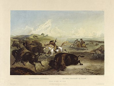 Karl Bodmer Indians hunting the bison